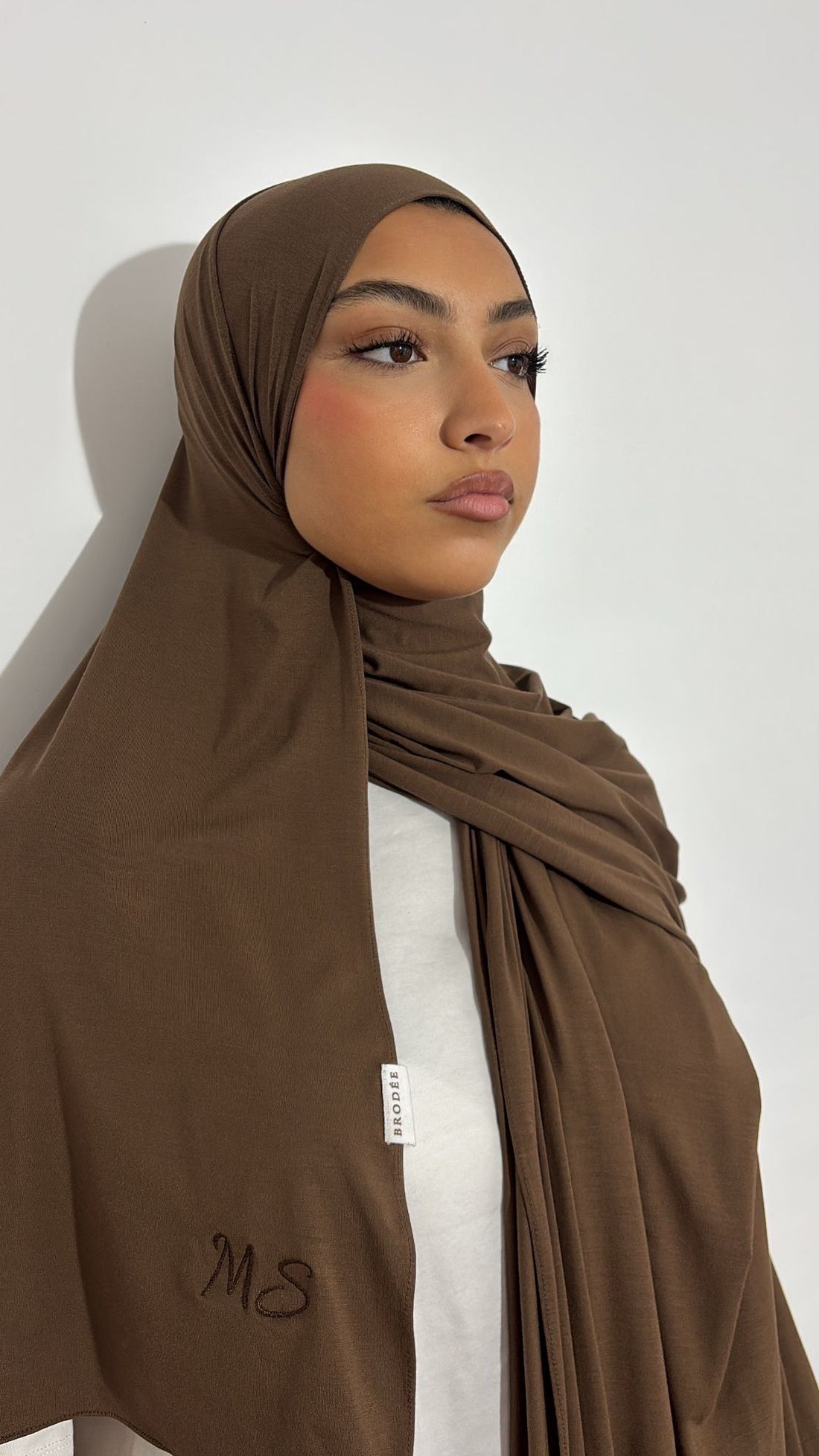 LE BAMBOU MARRON
